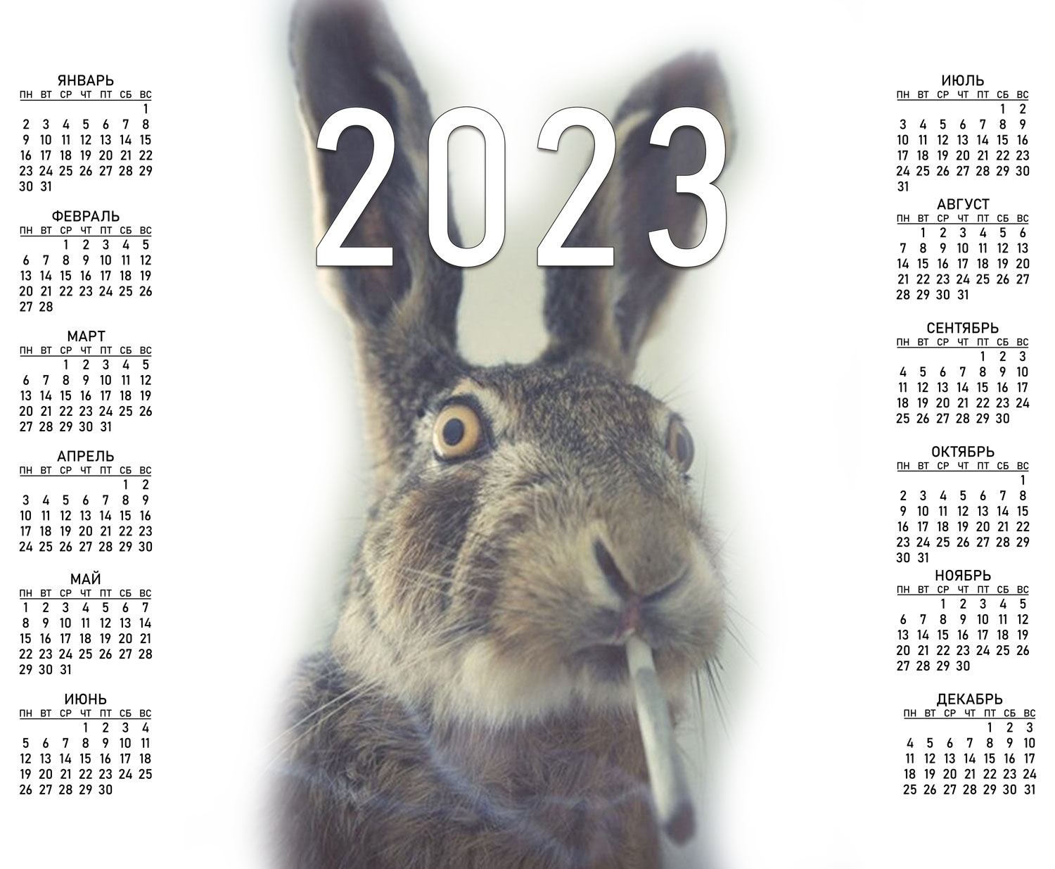календарь 2023 заяц