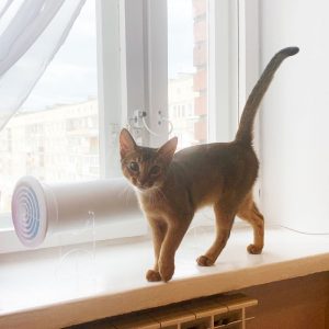 Первый ЛУЧ: бактерицидный рециркулятор воздуха